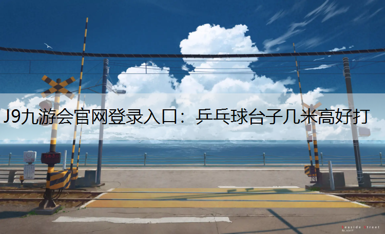 J9九游会官网登录入口：乒乓球台子几米高好打