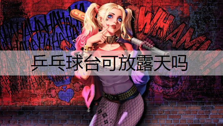 乒乓球台可放露天吗