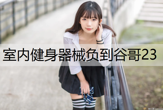 室内健身器械负到谷哥23