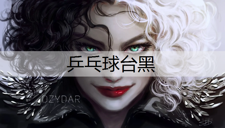 乒乓球台黑
